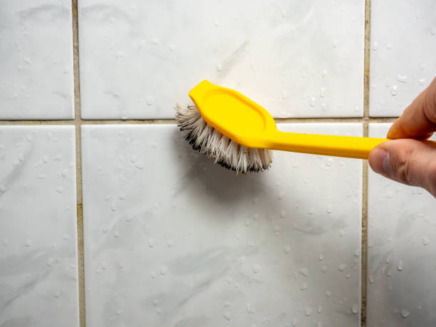 Best DIY Mold Remediation Support Services in Wakeeney, KS